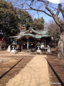 2014-03-16 12.03.38.jpg