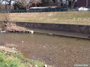 2014-03-16 13.23.31.jpg
