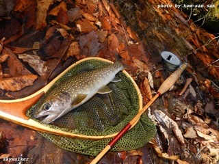 DSCN7175.jpg