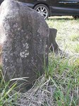 IMGP57951.jpg