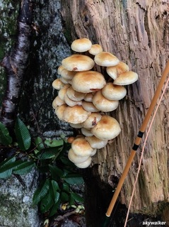 IMG_1404.jpg